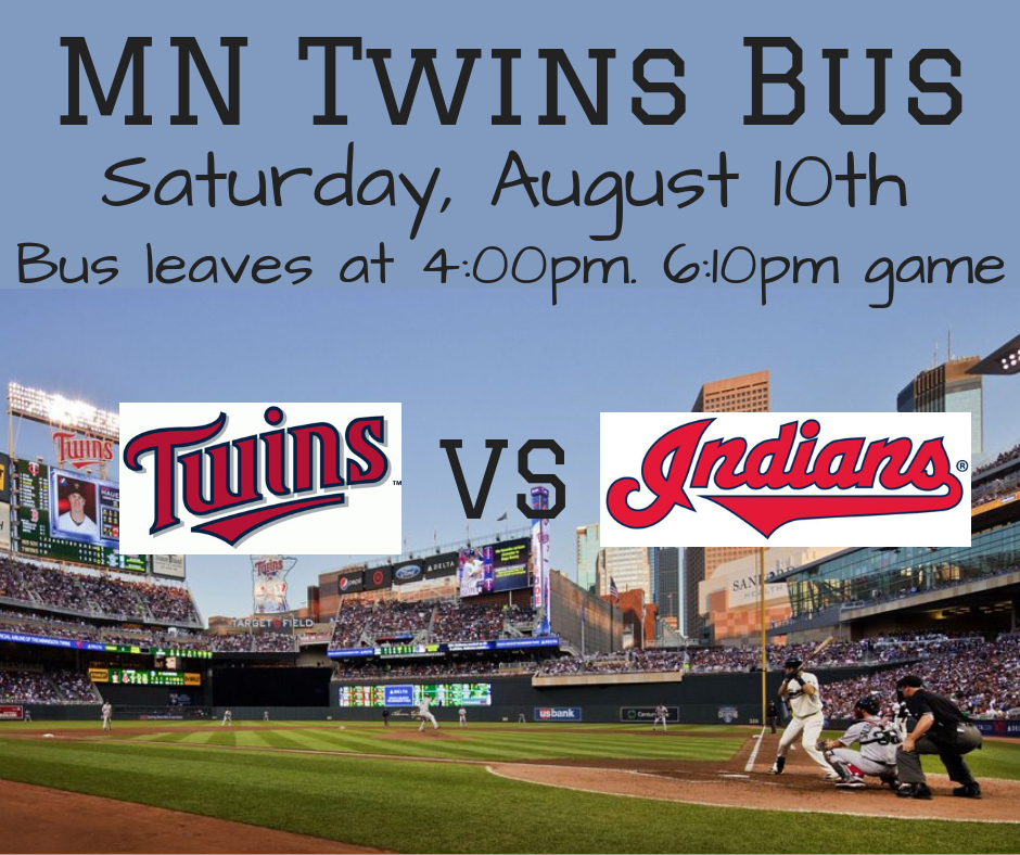 Twins Bus Big Brothers Big Sisters of Central Minnesota Youth