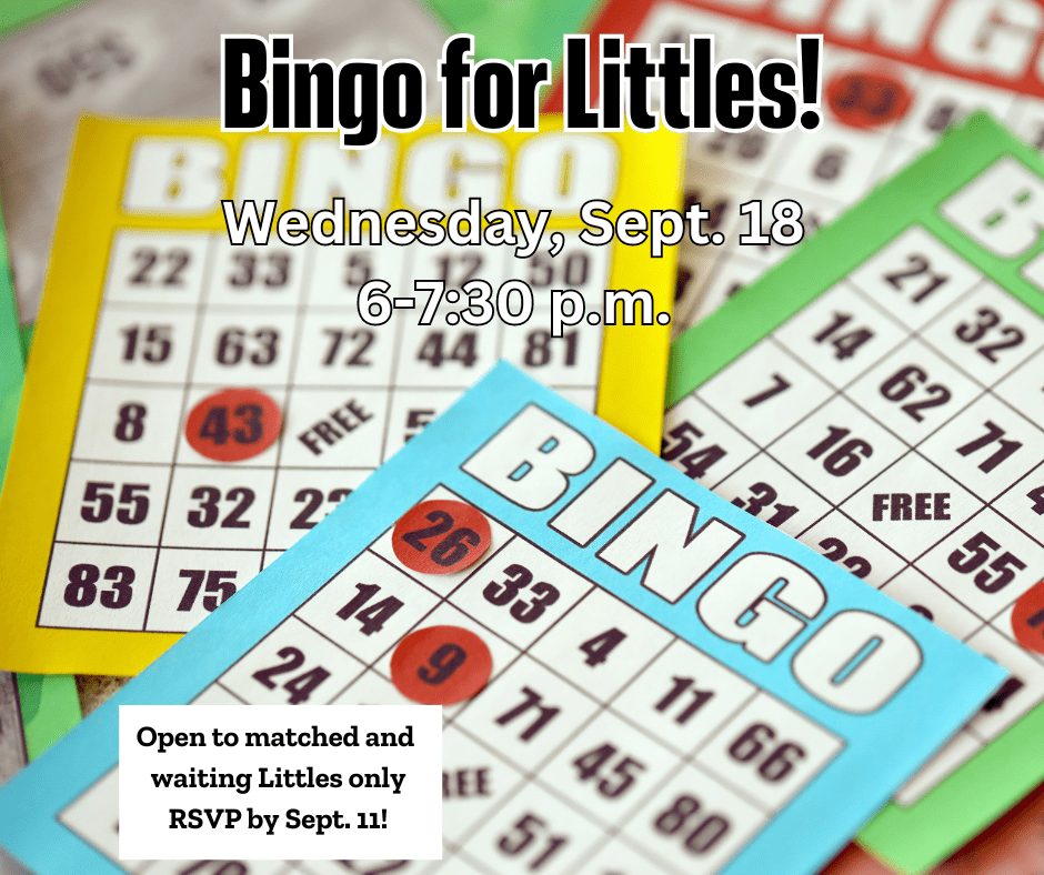 Details for Bingo for Littles activity